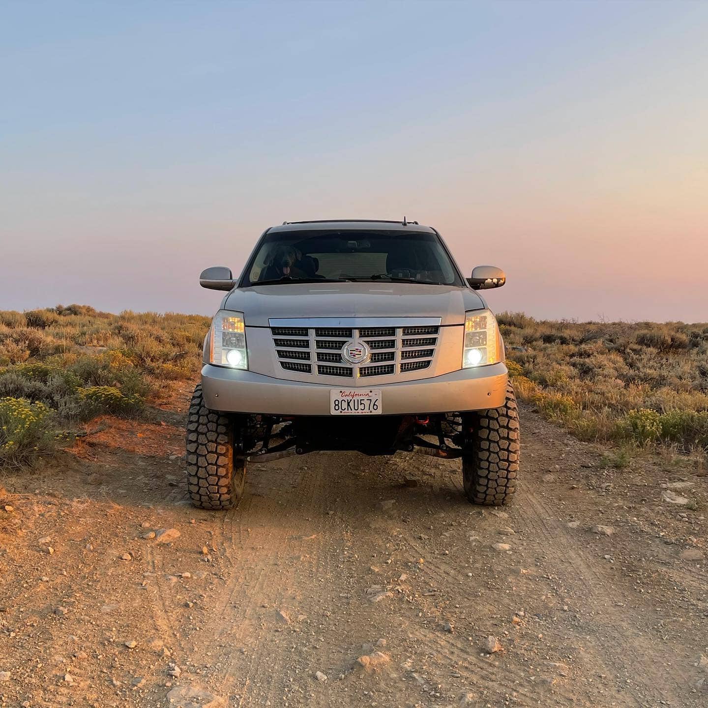 Cadillac Escalade Prerunner with long travel suspension