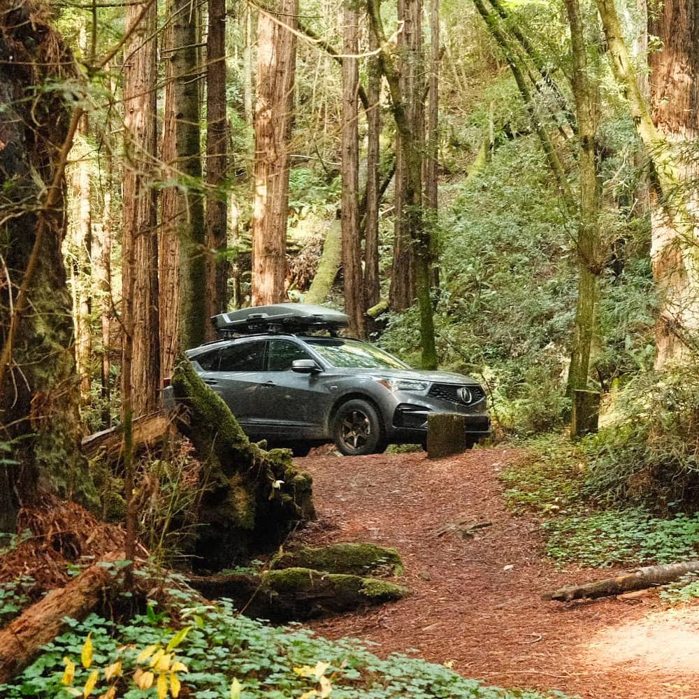 Off roading in a lifted Acura RDX with off road modifications