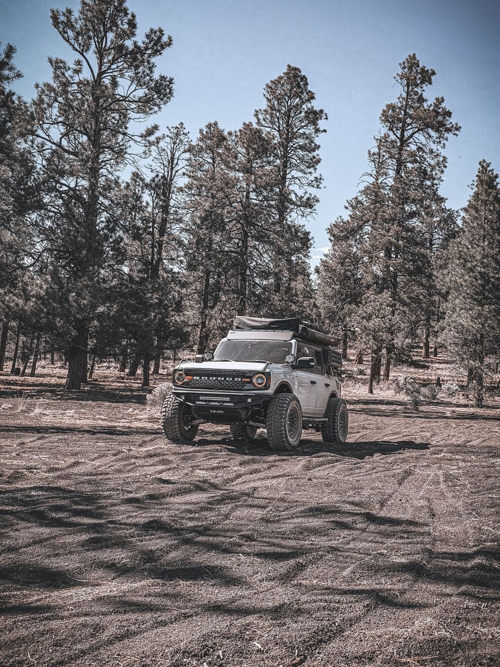 Smittybilt Overlander XL rooftop tent mounted on a Ford Bronco parked in a pine forest