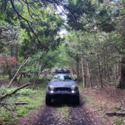 Isuzu Vehicross in the forest