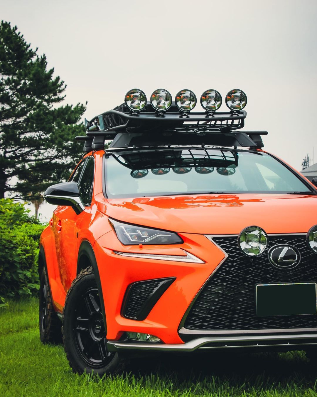 Lexus NX offroad mods and accessories - Thule Roof rack and IPS lights