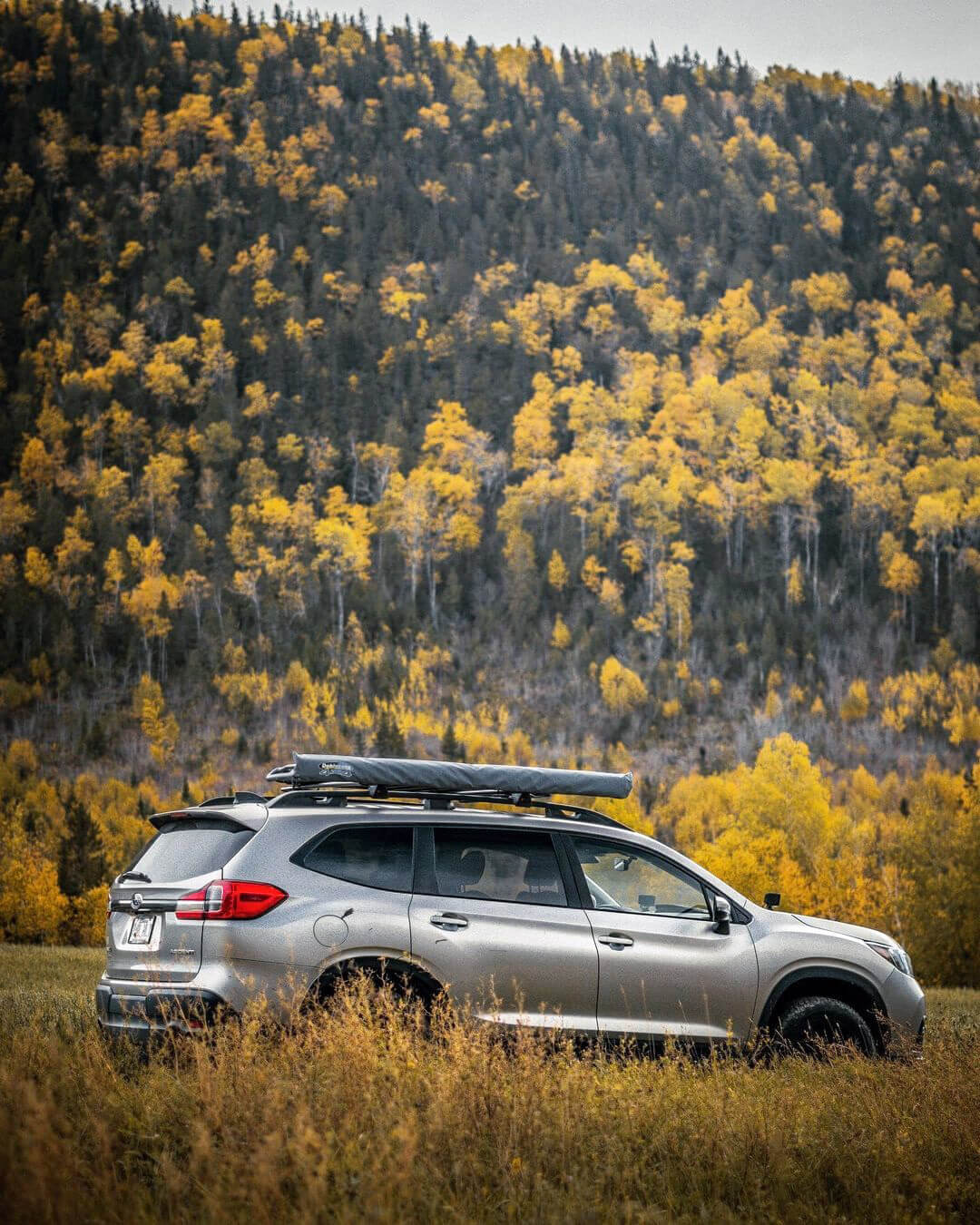 Dobinsons USA Medium Awning On Subaru Ascent