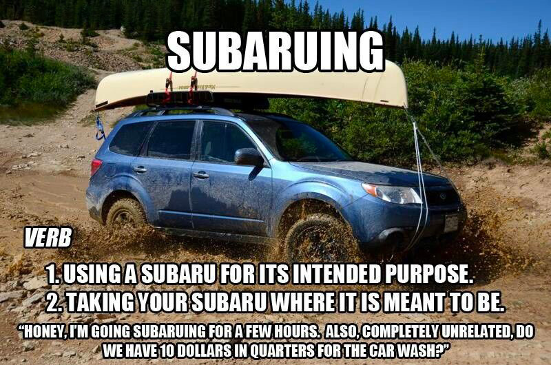 meme subaru forester off road environment