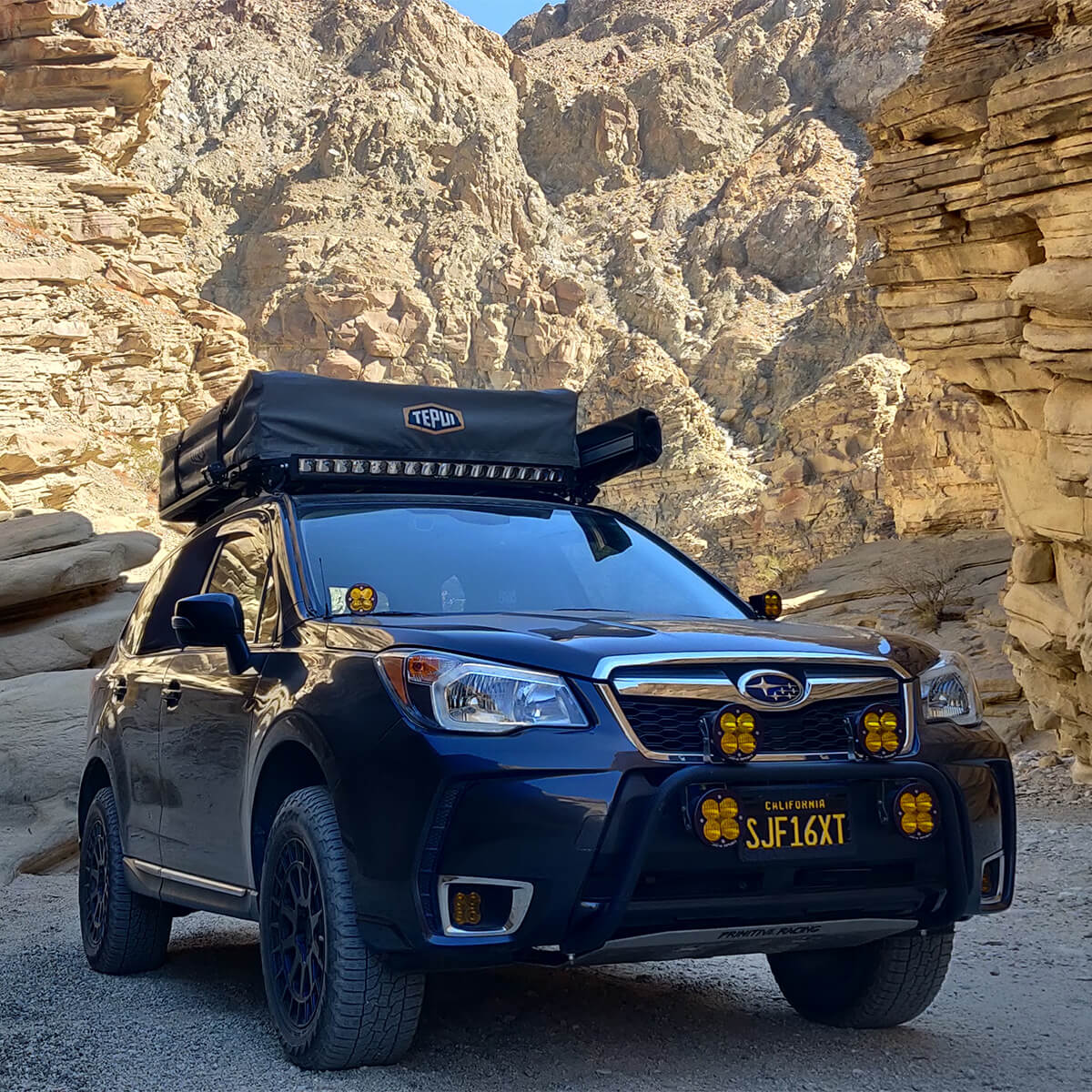 2016 subaru deals forester bull bar