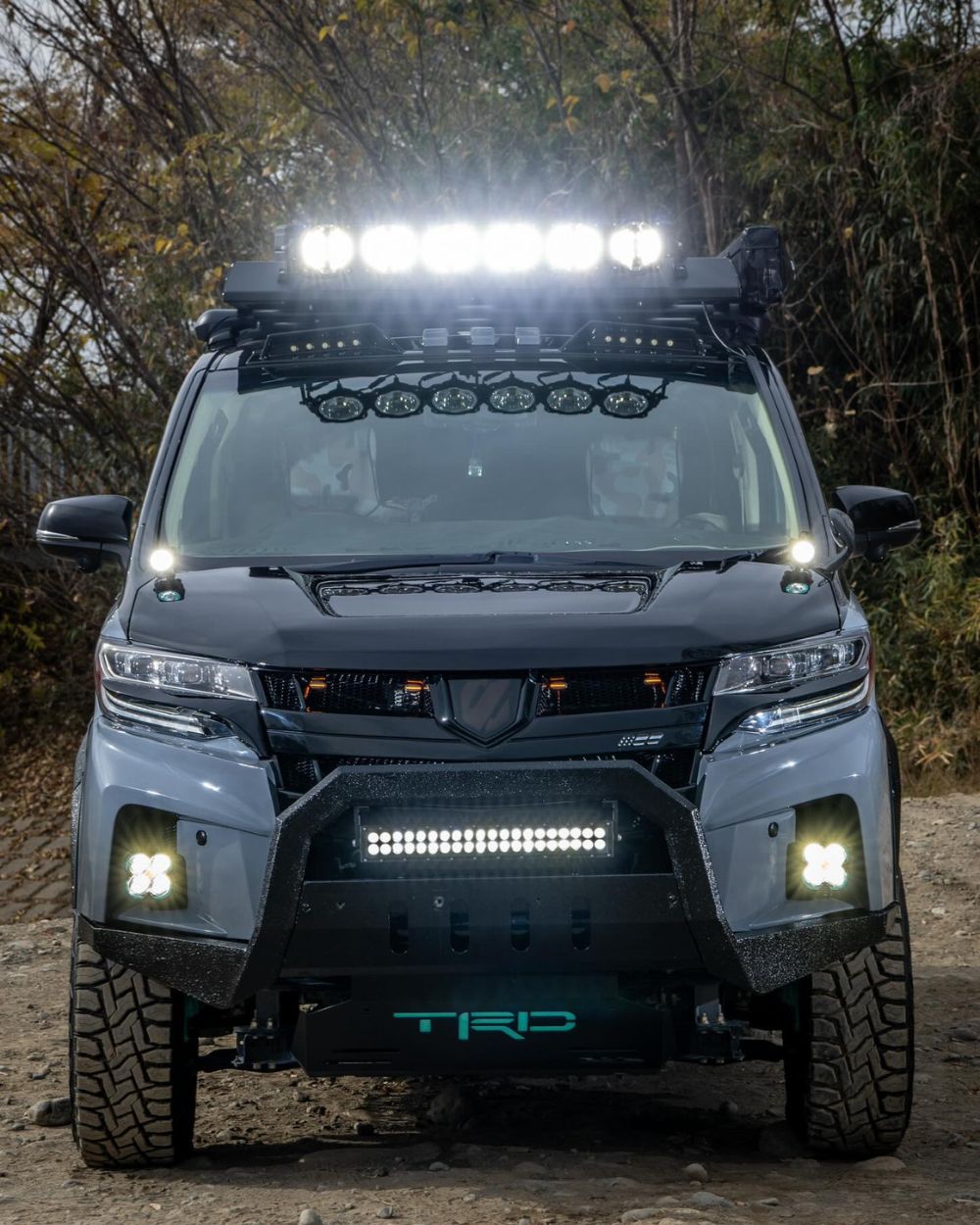 Toyota Alphard 3rd gen off road build