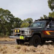 Chrome brush guard