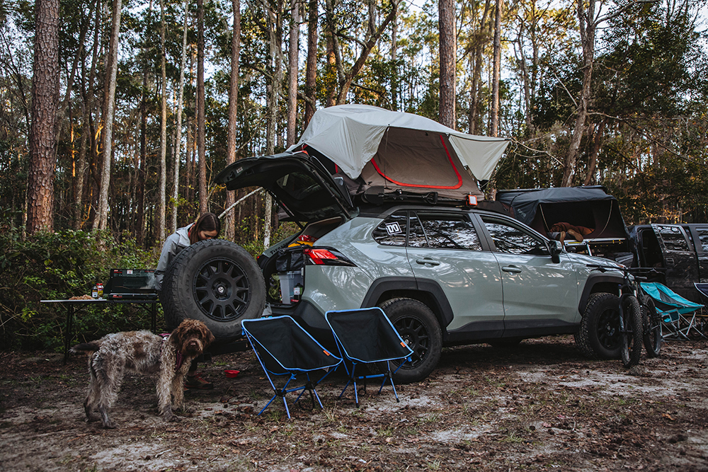 Camping in Toyota Rav4 overland project